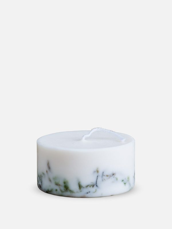 The Munio - Candela al Muschio - Moss candle